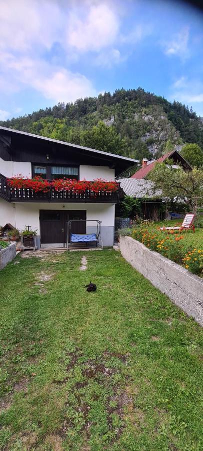 Apartma Vidic Gozd Martuljek Exterior photo